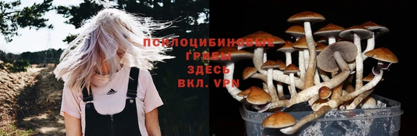 дмт Верхний Тагил