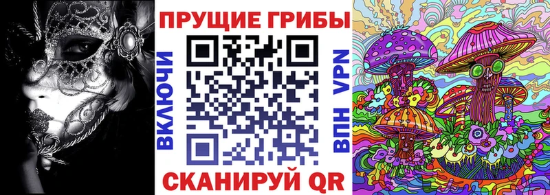 Купить закладки  Ладушкин  Галлюциногенные грибы мицелий 